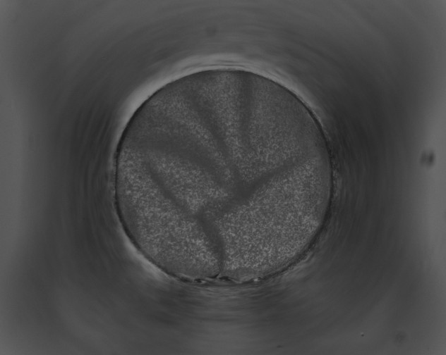 X0000091171527200708301145