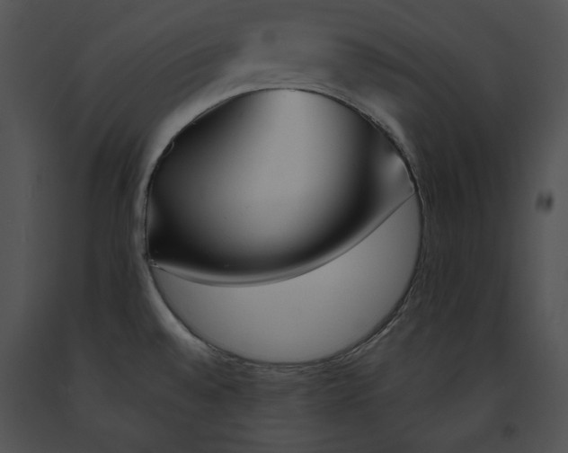 X0000091171528200708301145