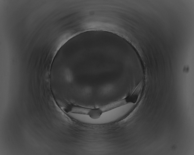 X0000091171529200708301145