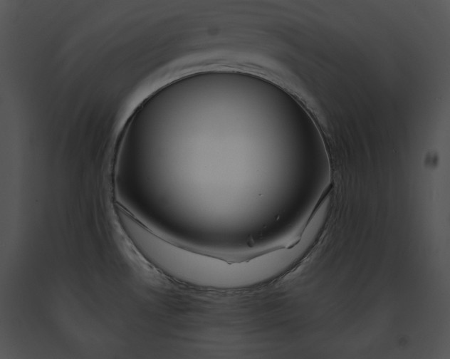 X0000091171530200708301145