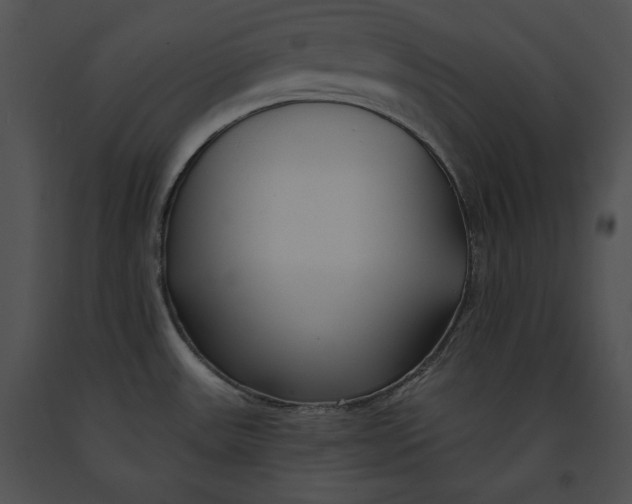 X0000091171531200708301145