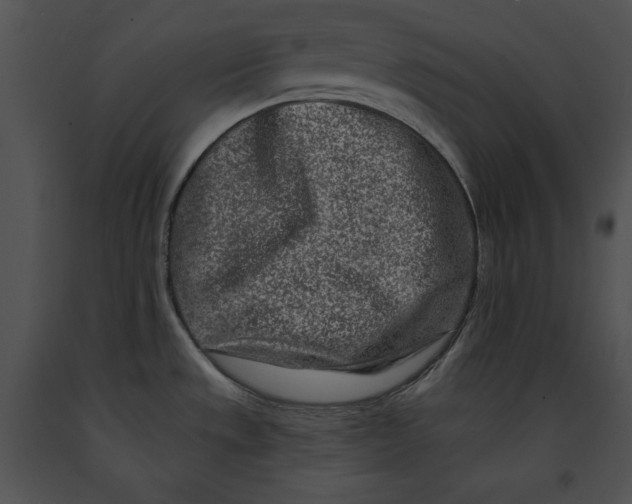 X0000091171533200708301145