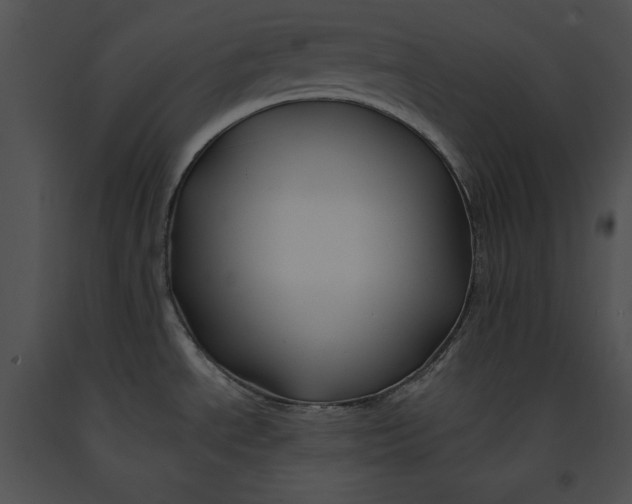 X0000091171534200708301145