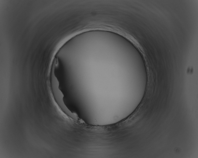 X0000091171536200708301145