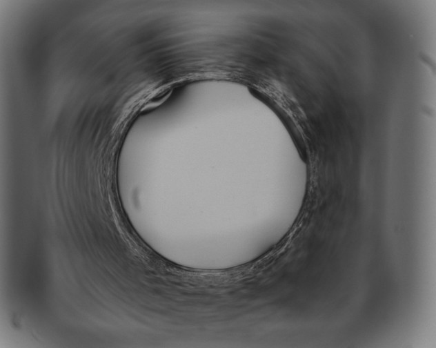 X0000091170001200709060943