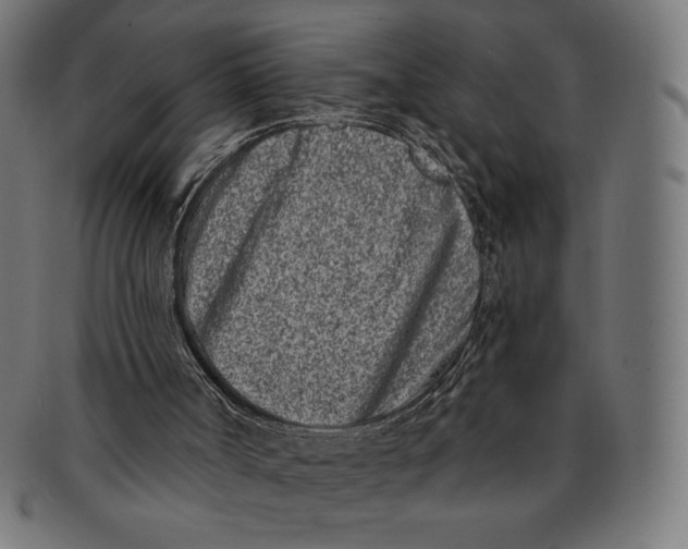 X0000091170002200709060943