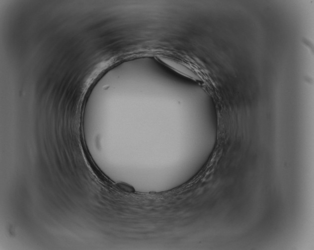 X0000091170003200709060943