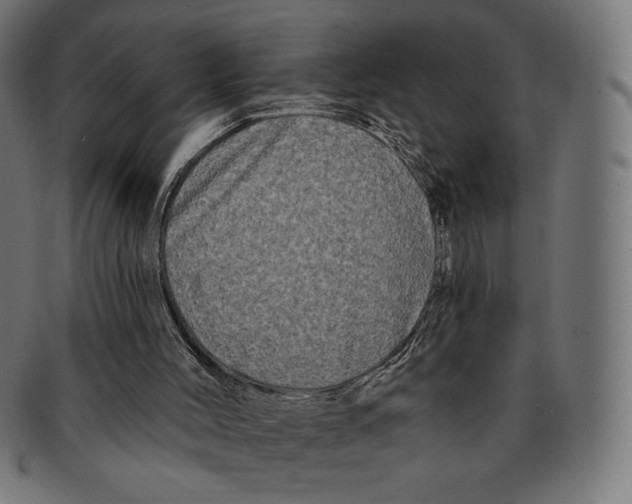 X0000091170004200709060943