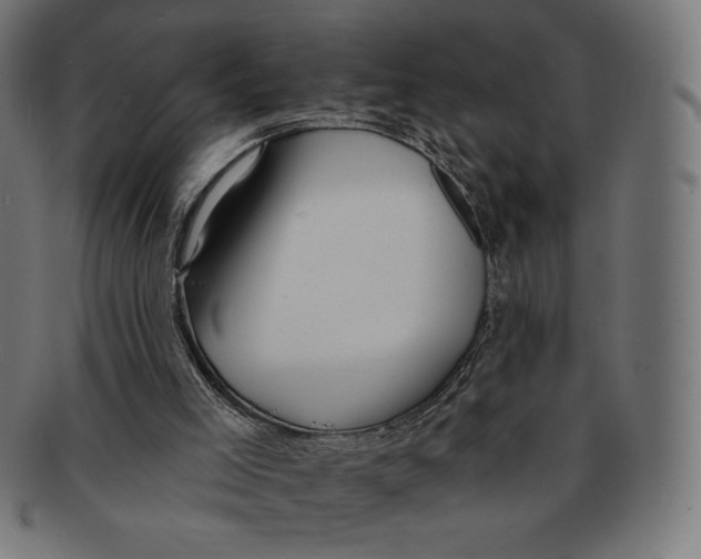 X0000091170005200709060943