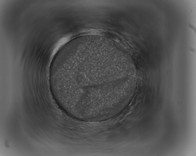 X0000091170006200709060943