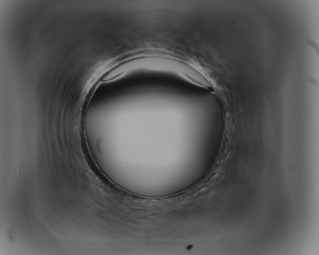 X0000091170007200709060943