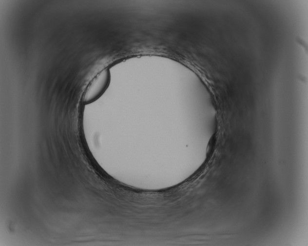X0000091170008200709060943
