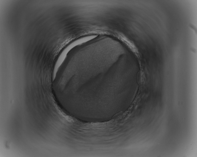 X0000091170009200709060943