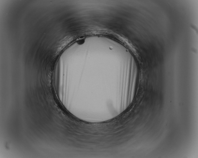 X0000091170010200709060943