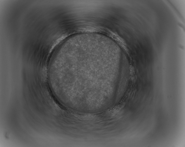 X0000091170012200709060943
