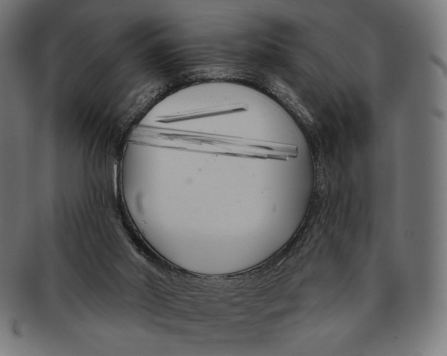 X0000091170014200709060943