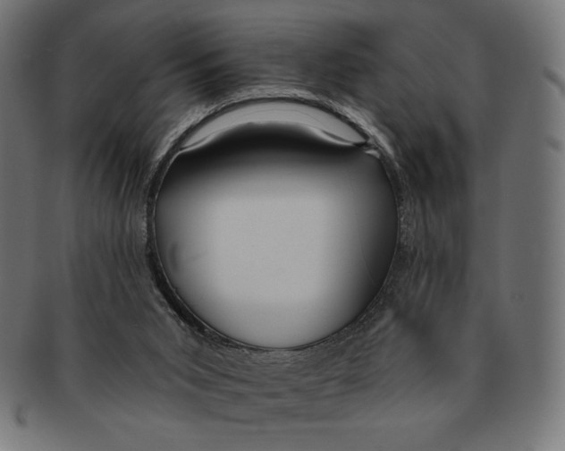 X0000091170015200709060943