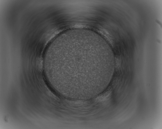 X0000091170016200709060943