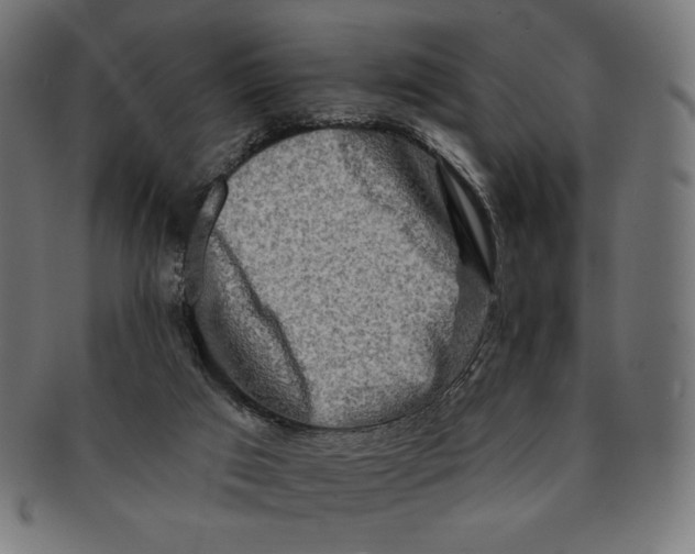 X0000091170017200709060943