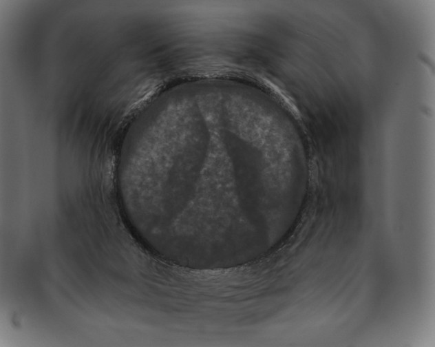X0000091170018200709060943