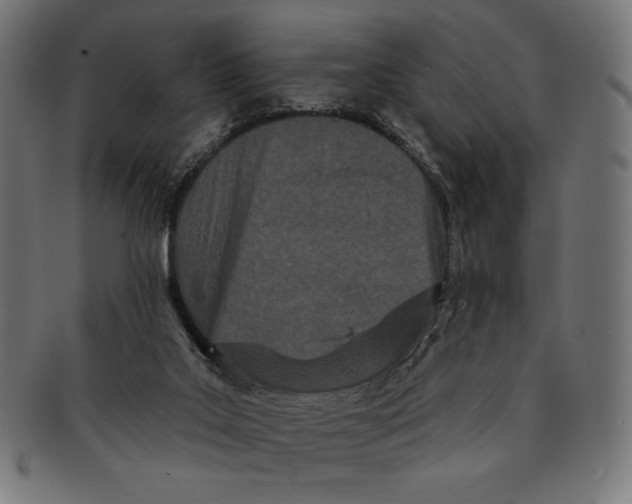 X0000091170019200709060943