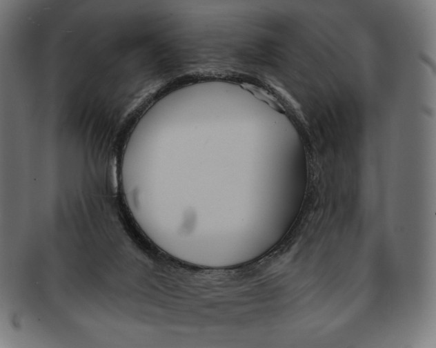 X0000091170020200709060943