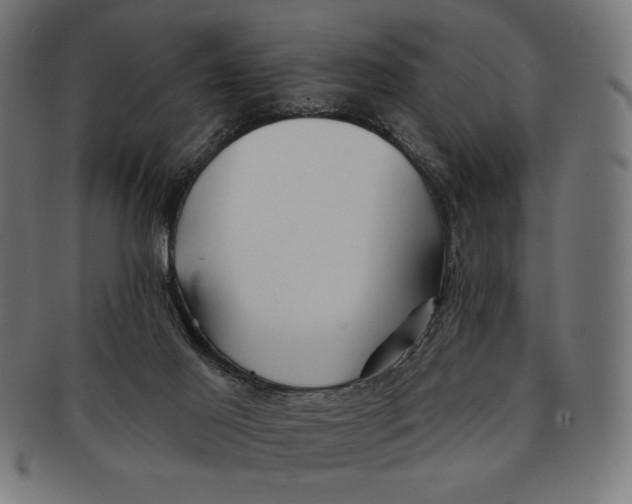X0000091170021200709060943