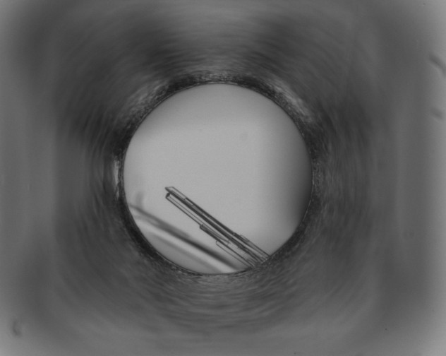 X0000091170022200709060943
