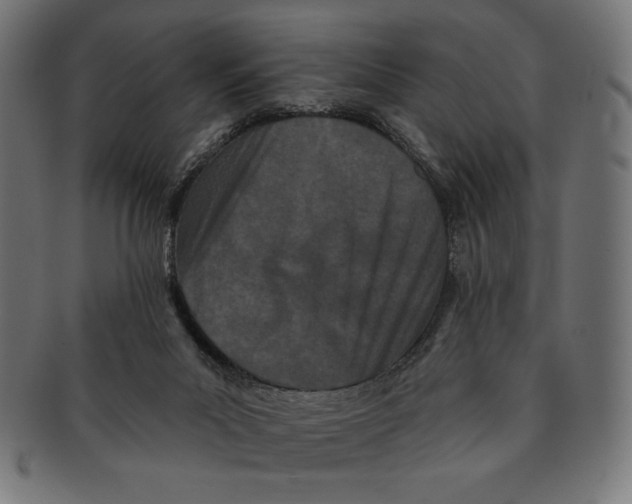 X0000091170023200709060943