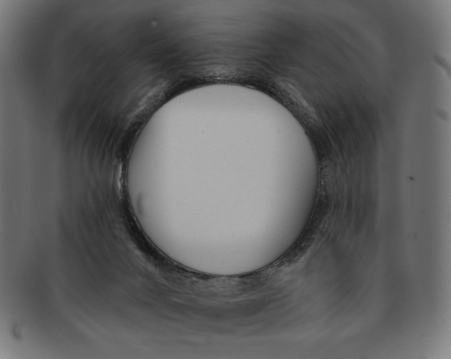 X0000091170024200709060943