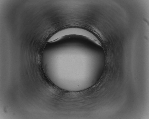 X0000091170025200709060943