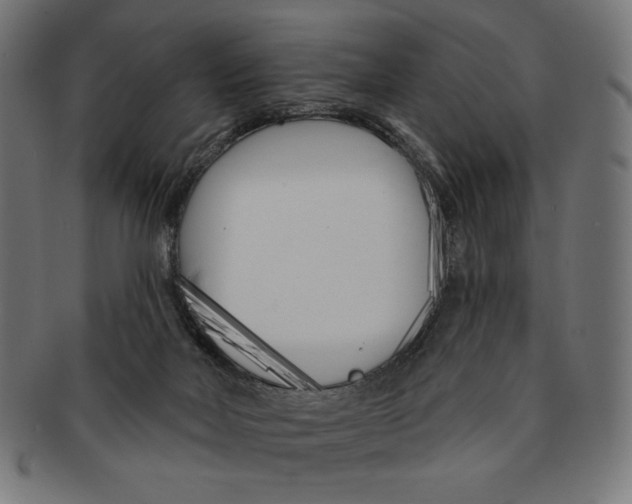 X0000091170026200709060943