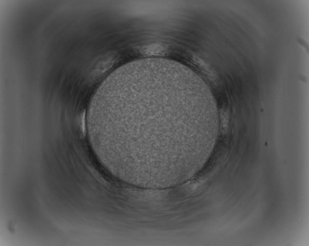 X0000091170028200709060943