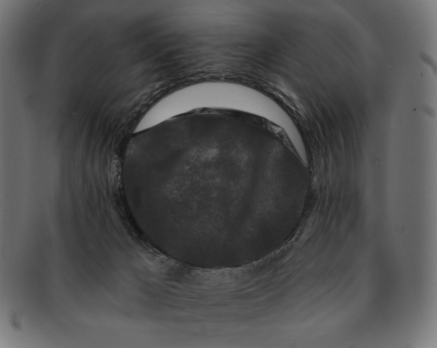 X0000091170029200709060943
