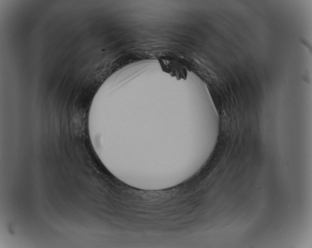 X0000091170030200709060943