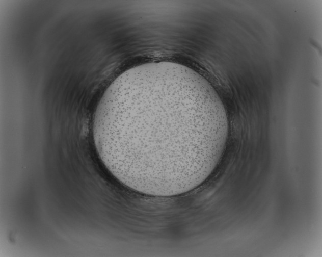 X0000091170032200709060943