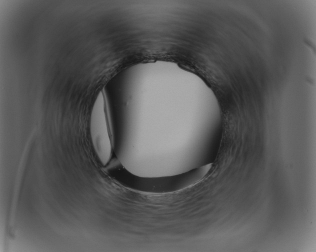 X0000091170033200709060943