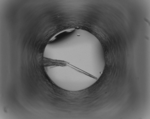 X0000091170034200709060943