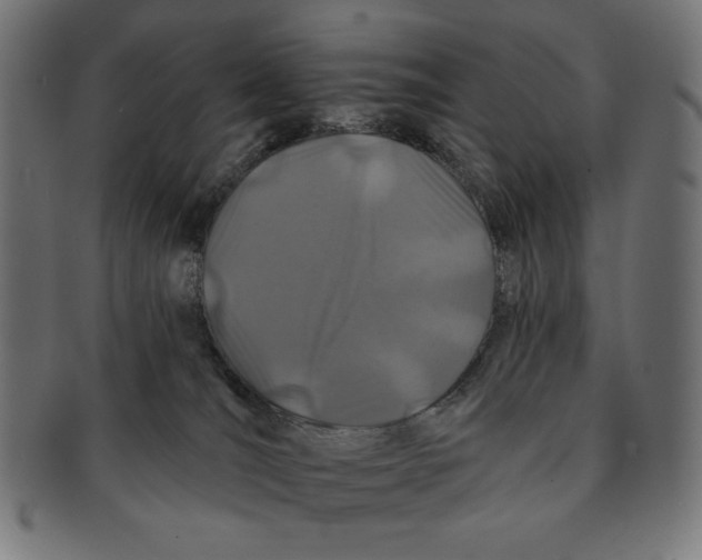 X0000091170036200709060943