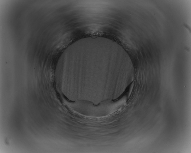 X0000091170039200709060943
