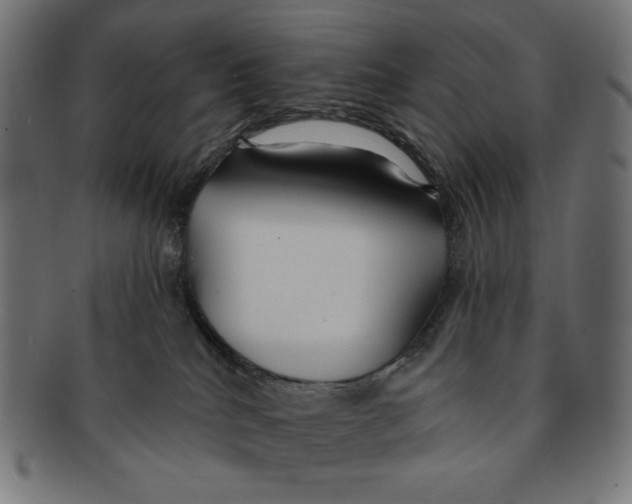 X0000091170040200709060943