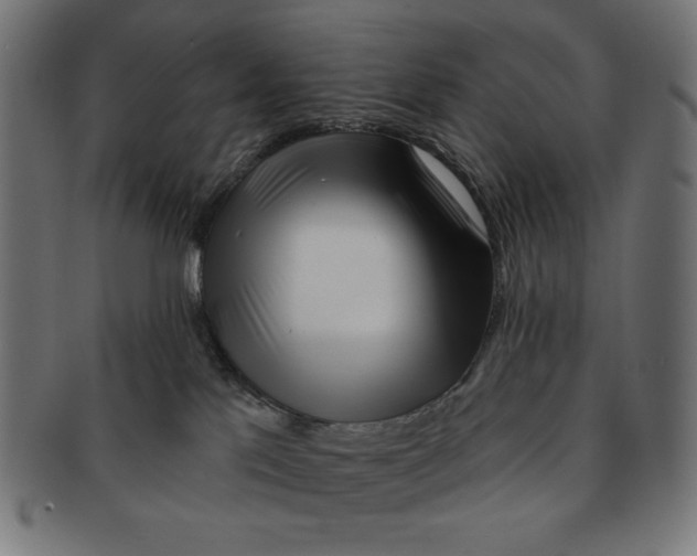 X0000091170041200709060943