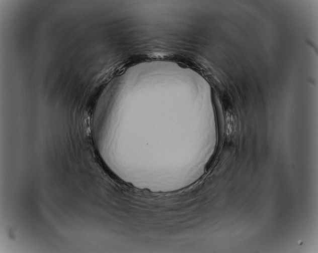 X0000091170043200709060943