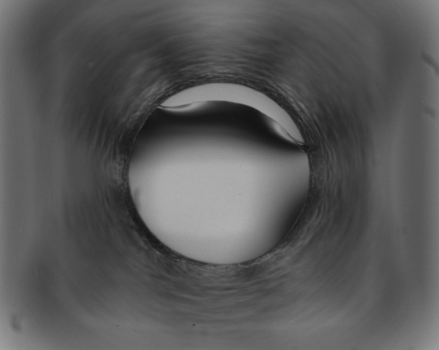 X0000091170044200709060943