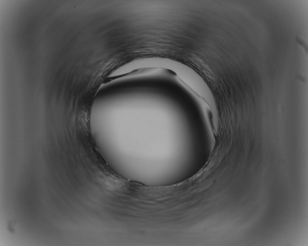 X0000091170045200709060943