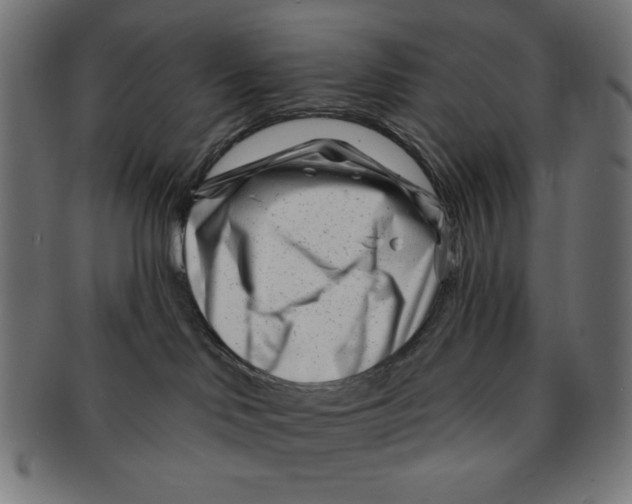 X0000091170046200709060943