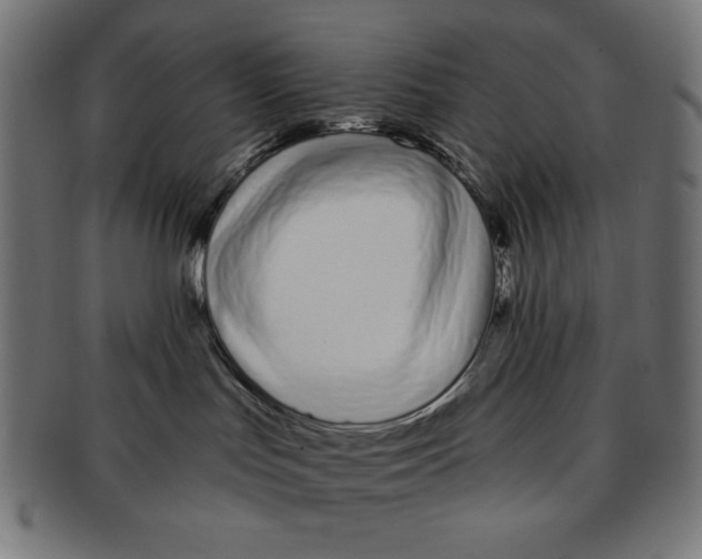X0000091170047200709060943