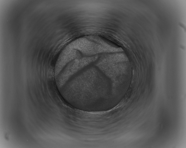 X0000091170048200709060943