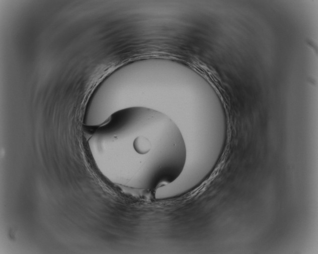 X0000091170049200709060942