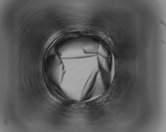 X0000091170051200709060942